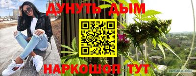 стаф Славгород