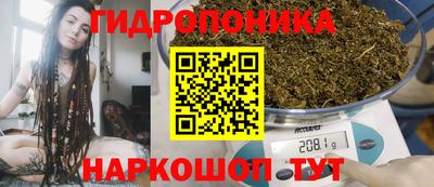 стаф Славгород
