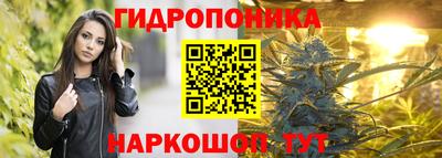 стаф Славгород