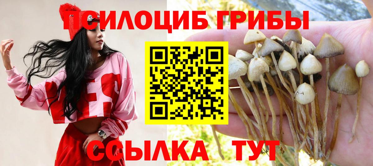 Псилоцибиновые грибы мухоморы  Галлюциногенные грибы Magic Shrooms  Вход с VPN  где продают   Павловский Посад 
